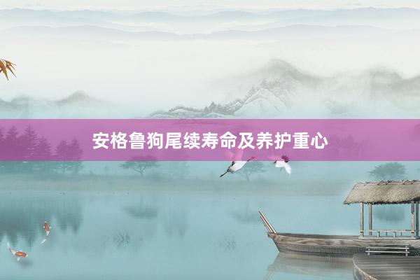 安格鲁狗尾续寿命及养护重心
