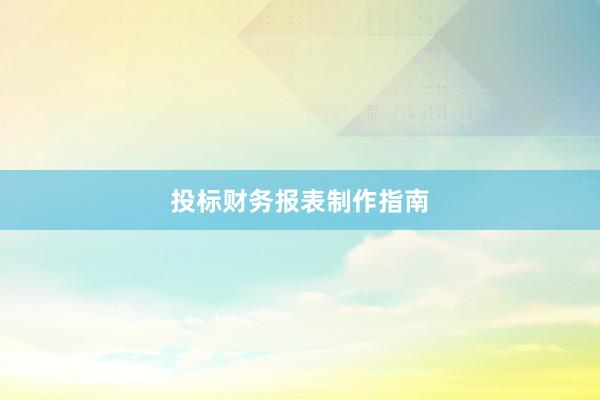 投标财务报表制作指南